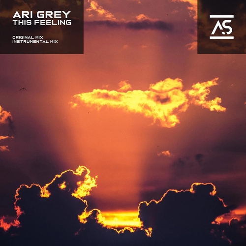 Ari Grey - This Feeling [ASR478]